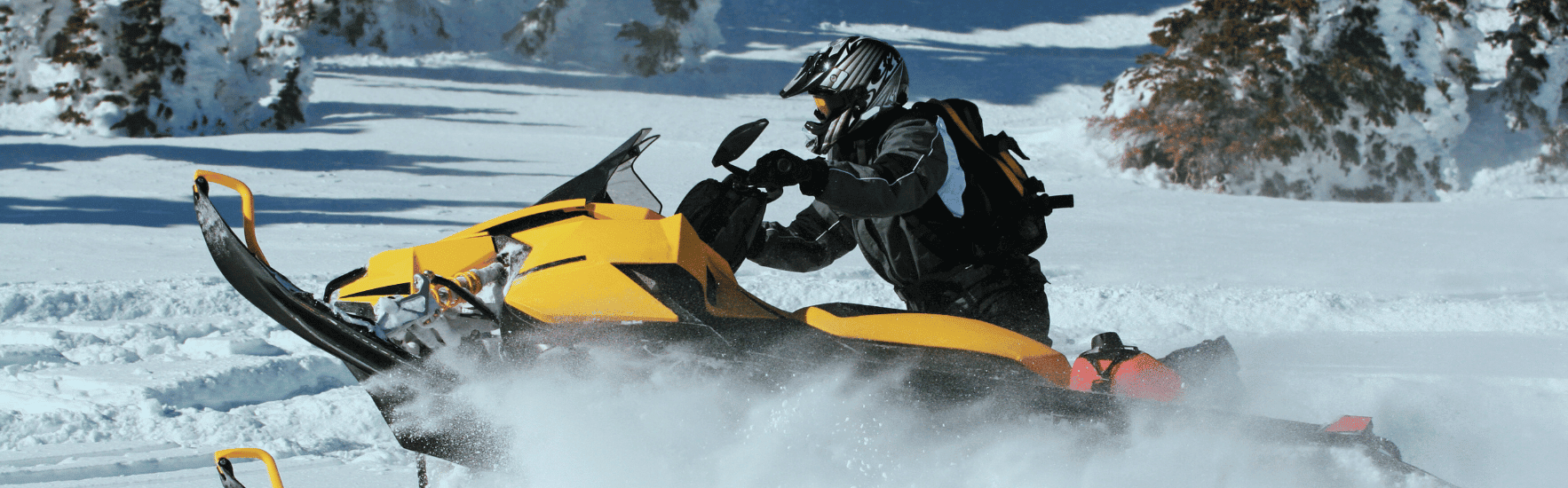motoneige ski doo